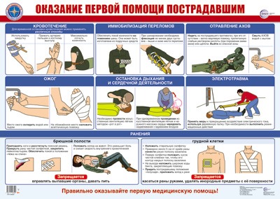 Плакат 'Оказание первой помощи', А2 , ПЛ-016007