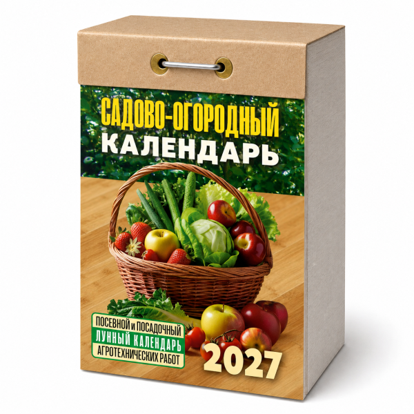 ChatGPT Image 8 июн. 2026 г., 13_18_38 (10)